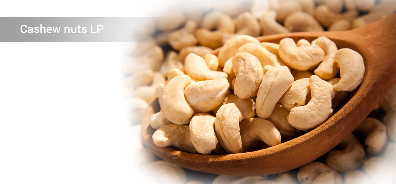 Cashew nuts LP
