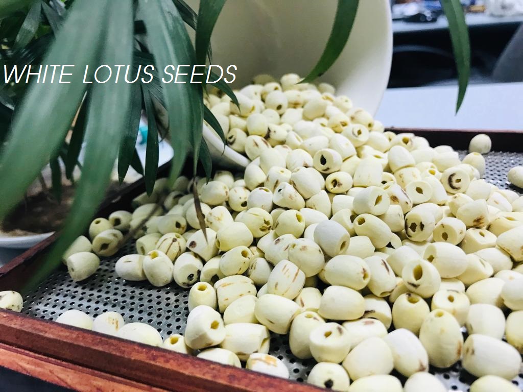 White Lotus Seeds