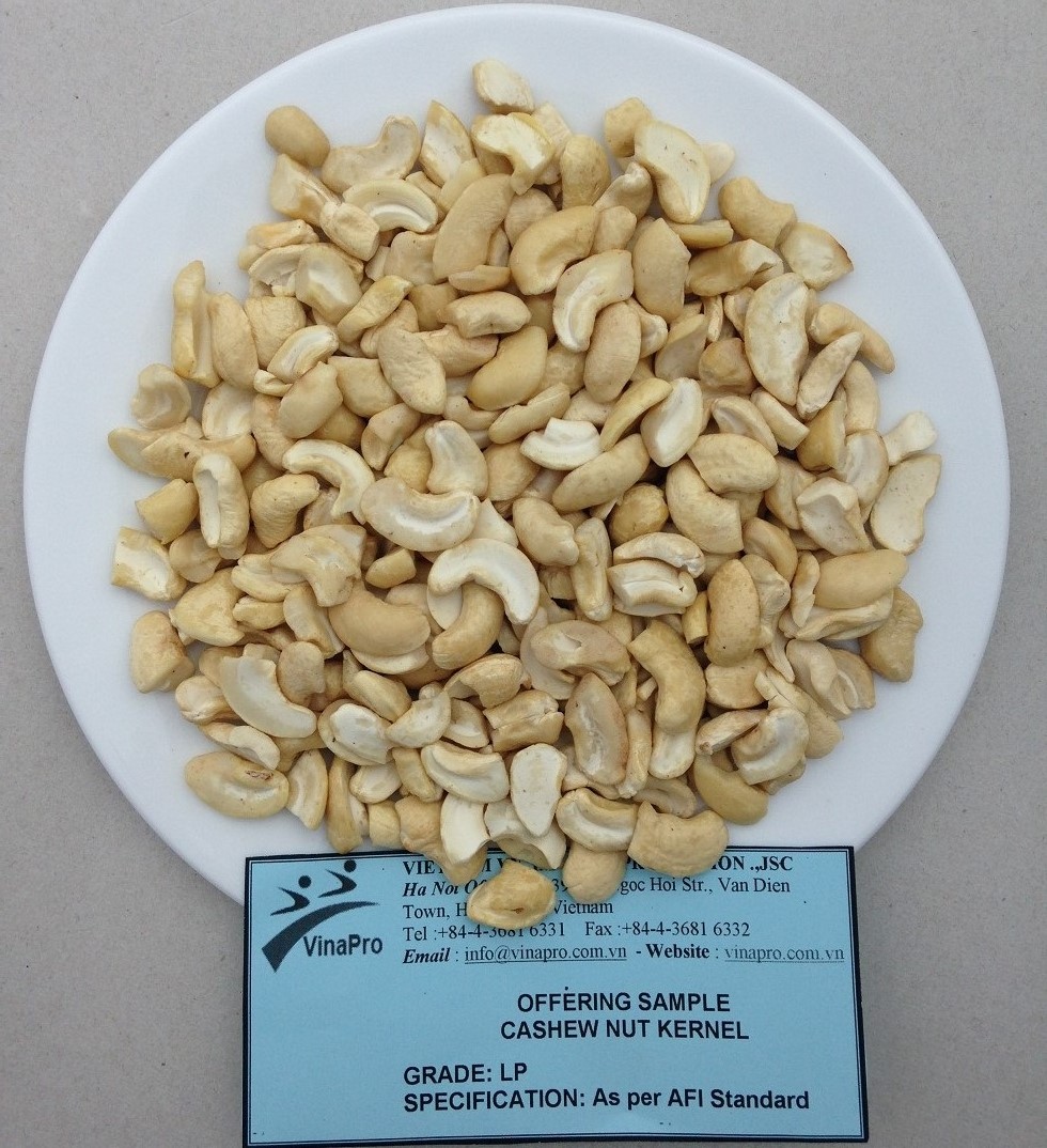 cashew nut lp 1