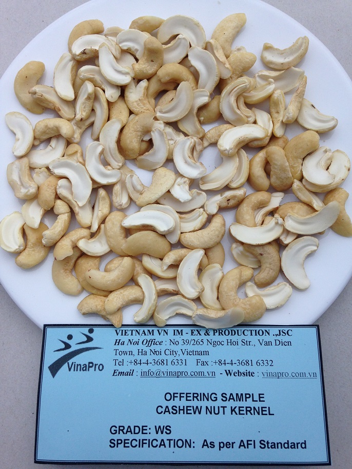 cashew nut ws 1
