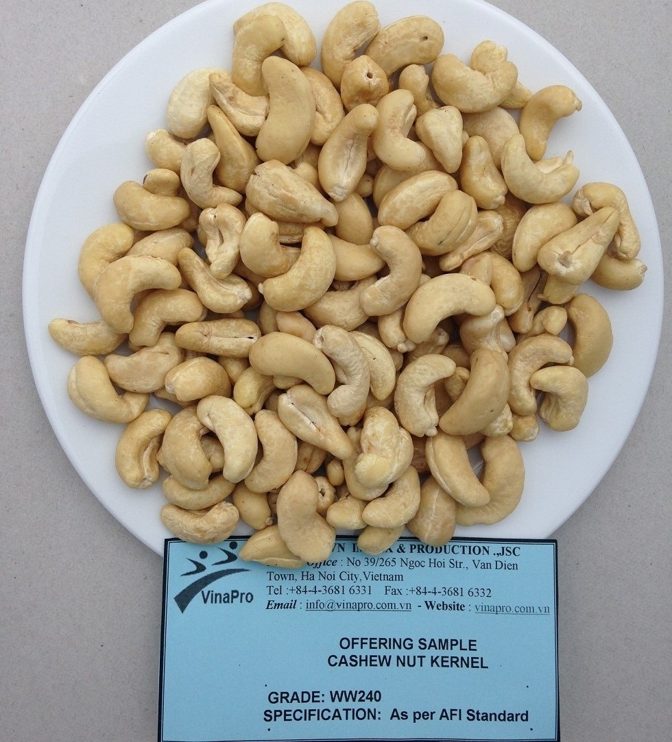 cashew nut ww240 1