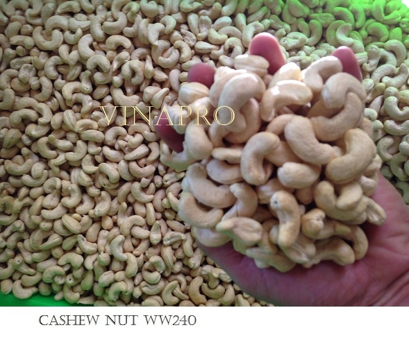 cashew nut ww240 5