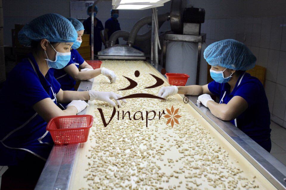 cashew nut ww320 5 -  manufacturing process