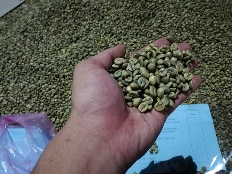 washed arabica coffee bean s16 2