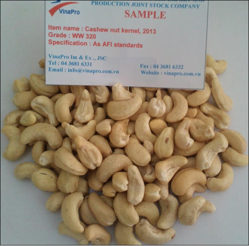 cashew nut ww320 1