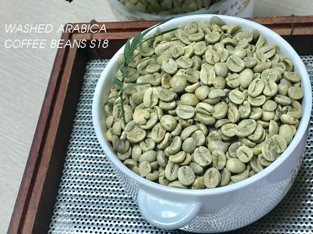 Washed Arabica Green Coffee Beans S18