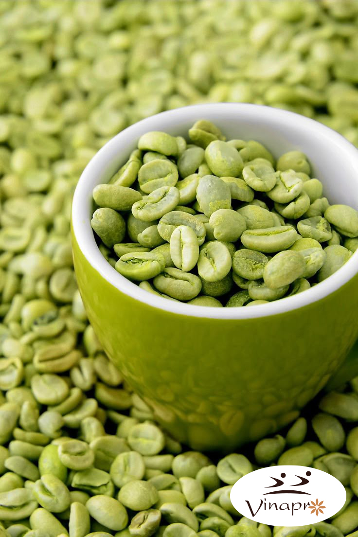 Washed Arabica Green Coffee Beans S18