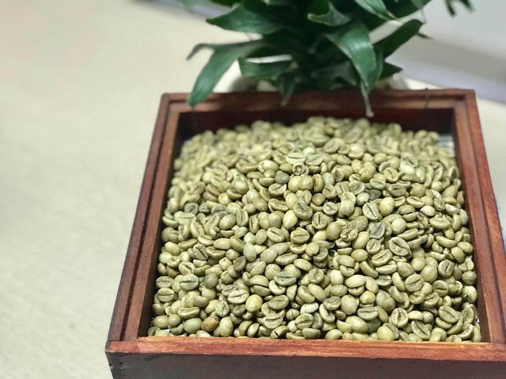 unwashed robusta coffee bean s18