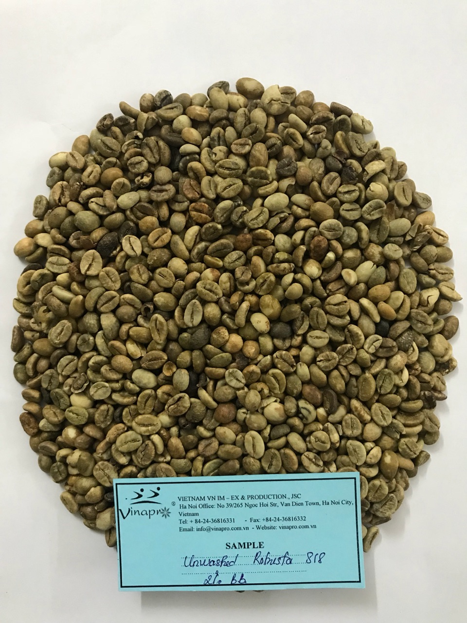 unwashed robusta coffee bean s16-s18