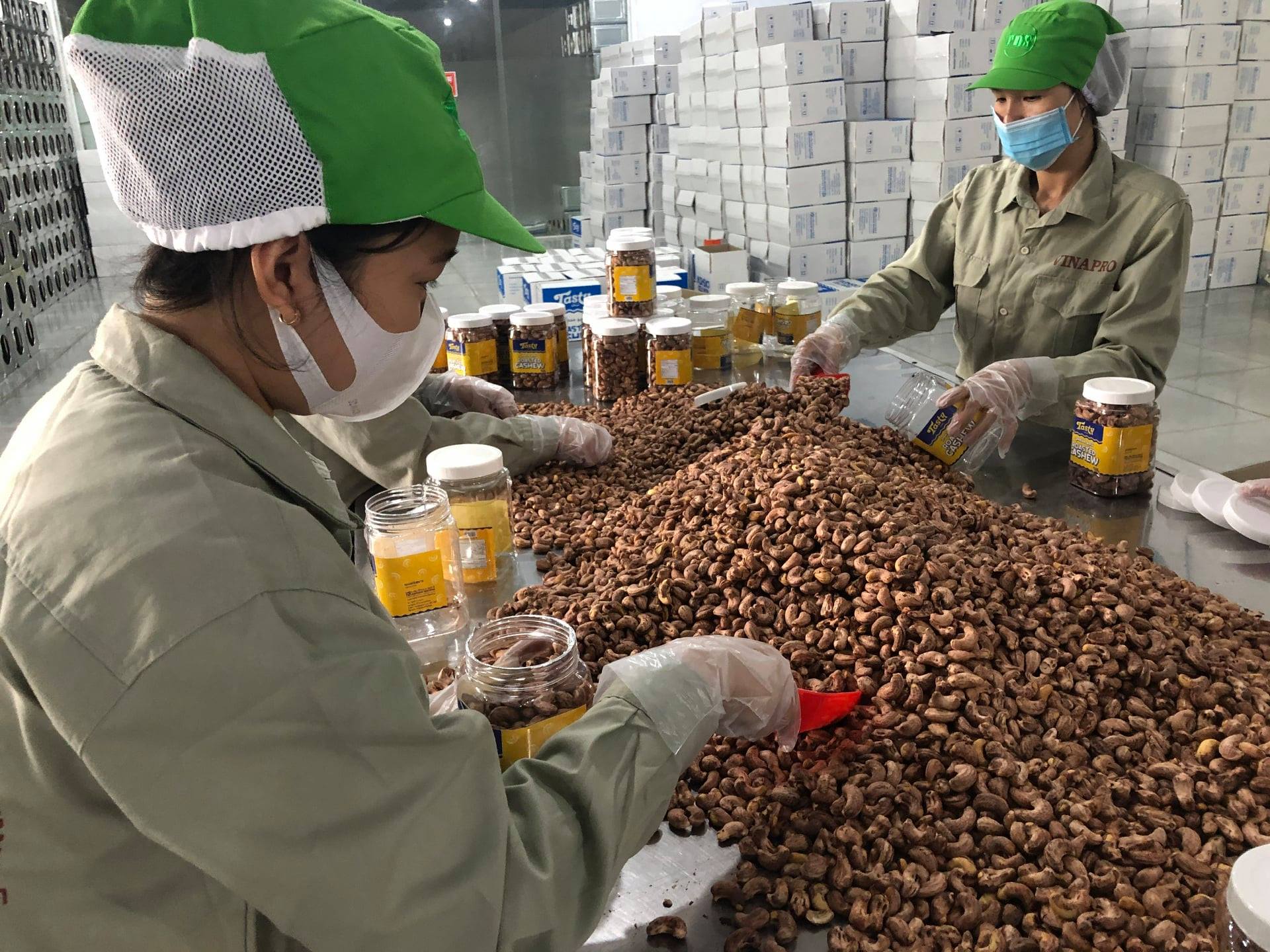 August 2023: Vietnam's Cashew Nut Exports Achieve New Record High