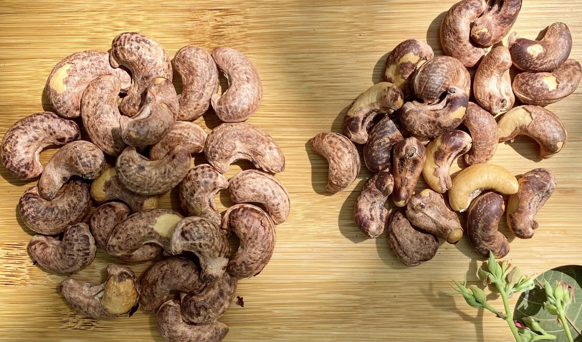 5 TYPES OF NUTS ARE GOOD FOR THE BRAIN, EXTREMELY BENEFICIAL FOR THE ELDERLY