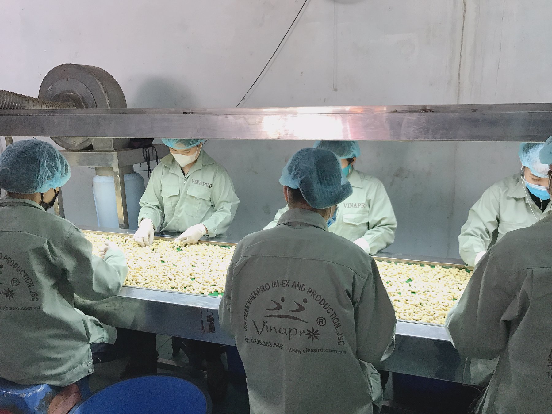 VIETNAM'S CASHEW NUTS EXPORT FOR 11 MONTHS EXCEEDS VINACAS' TARGETS SET FORTH