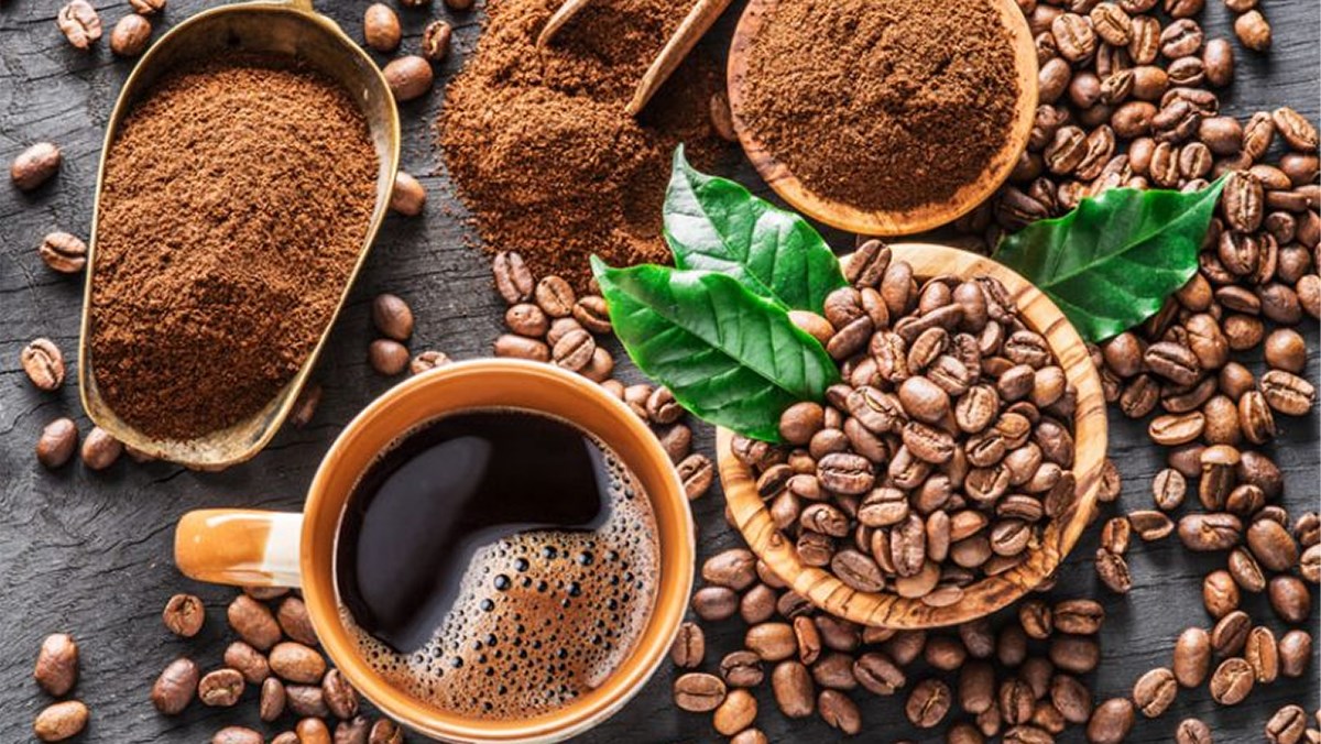 Arabica coffee – Origin & biological characteristics