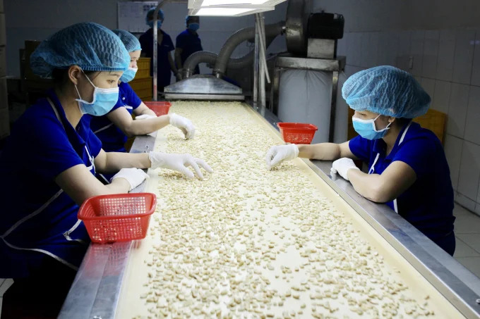 China imports Cashew from Vietnam