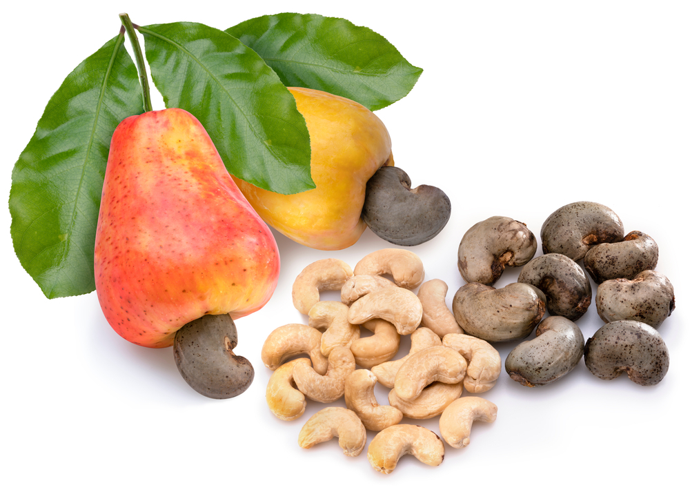 Dong Nai: Cashew nut prices surge