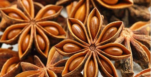 Vietnam's Star Anise Exports from Jan to Aug 2023: A Flavorful Success Story