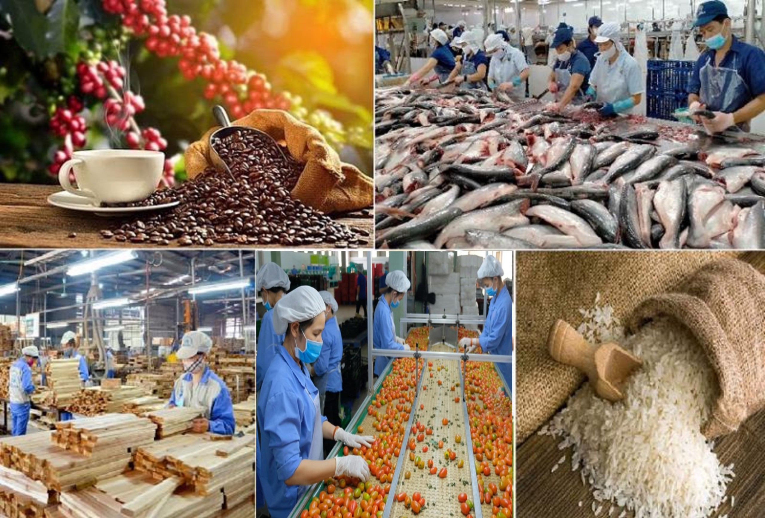 THE AGRICULTURAL SECTOR HAS 5 EXPORT COMMODDITY GROUPS OF MORE THAN BILLION USD AFTER 2.5 MONTHS