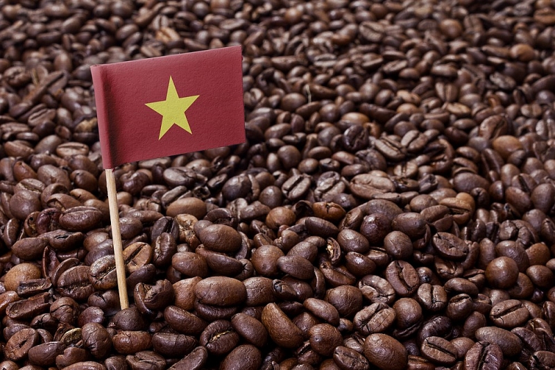 THE INCREASE IN COFFEE PRICES WILL CONTINUE UNTIL 2024