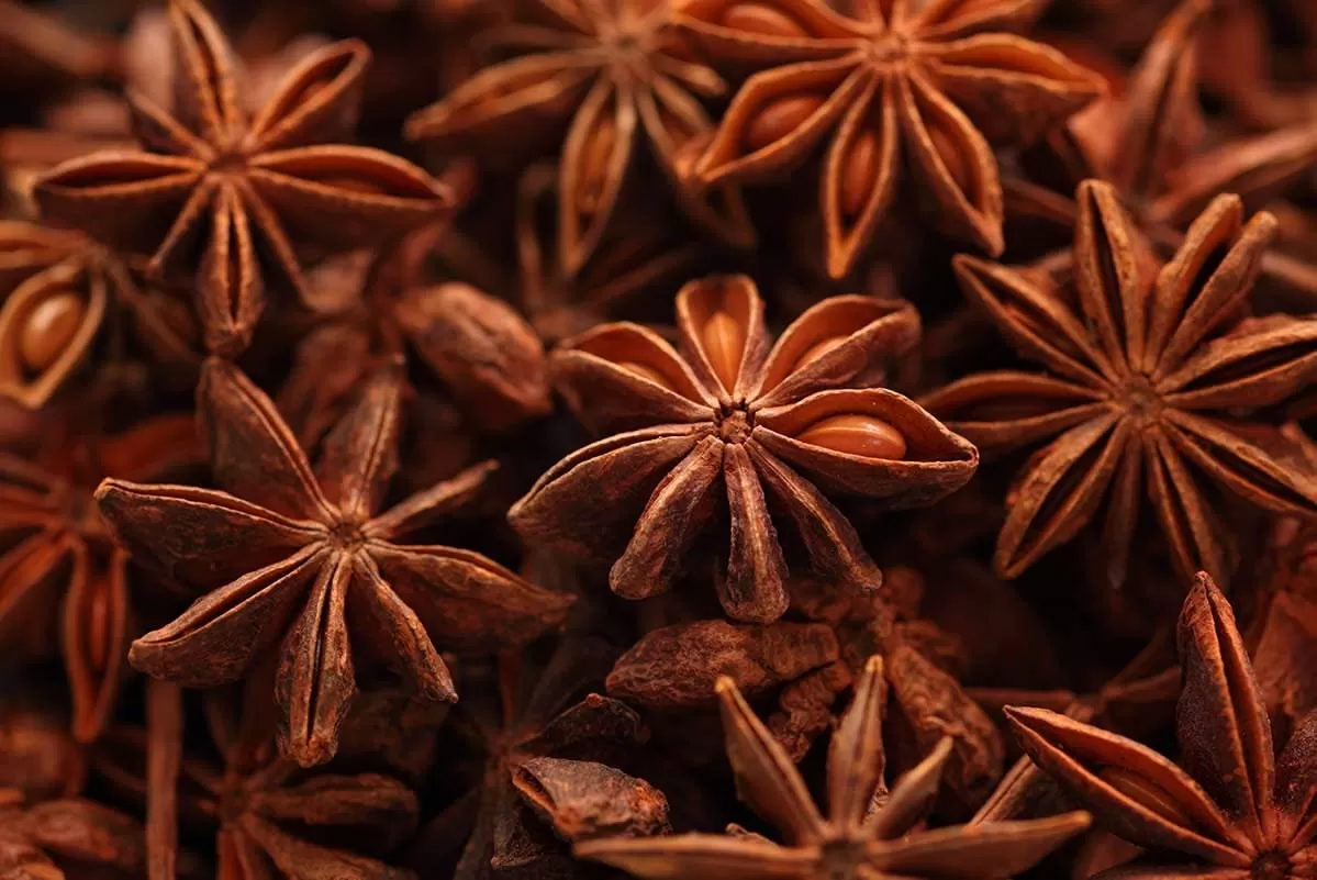 Spring star aniseed with natural shape and color