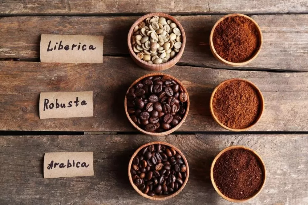 Various Vietnam coffee beans for international export markets