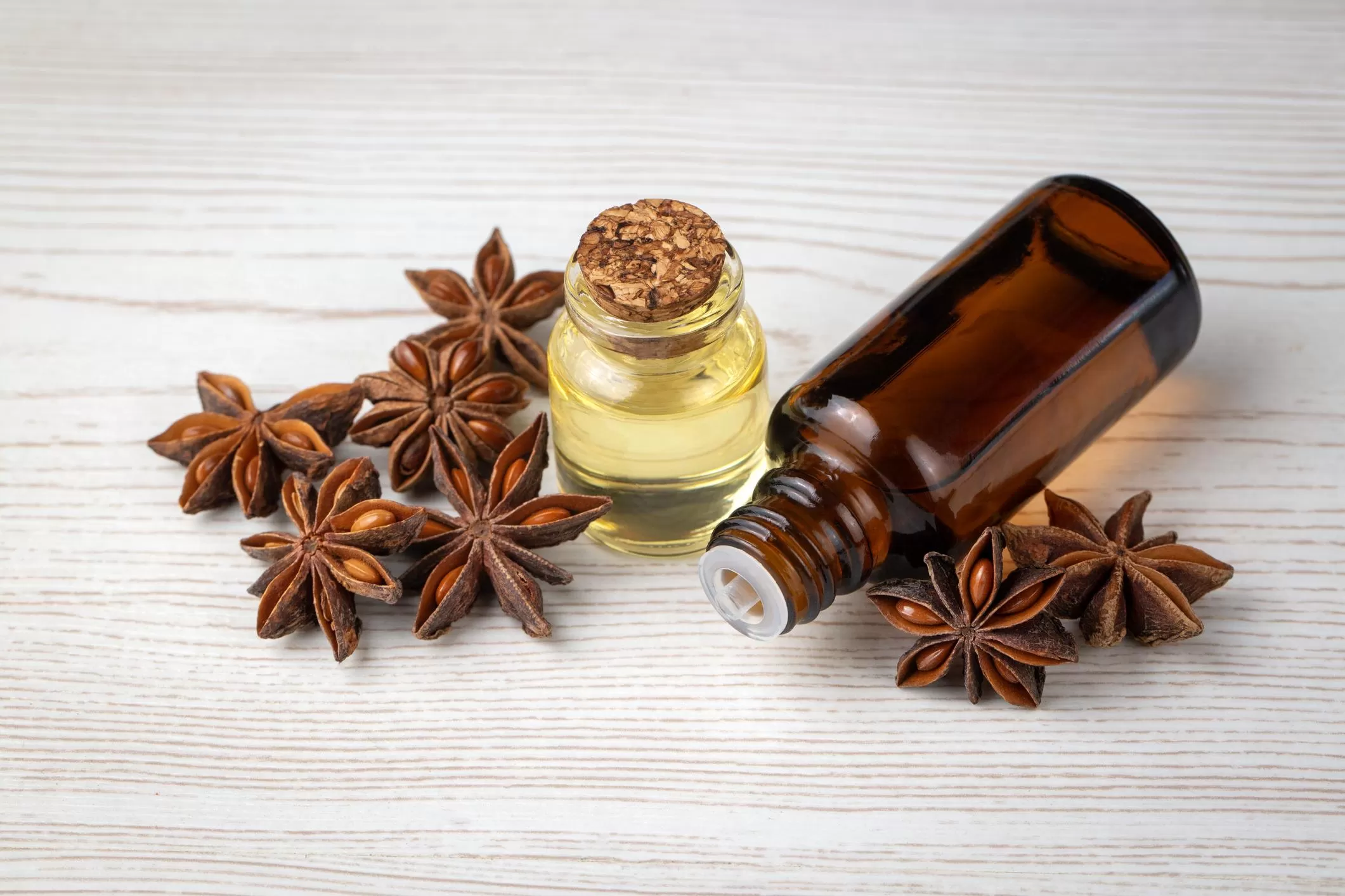 Applications of Autumn Star Aniseed in food, herbal tea, and essential oil