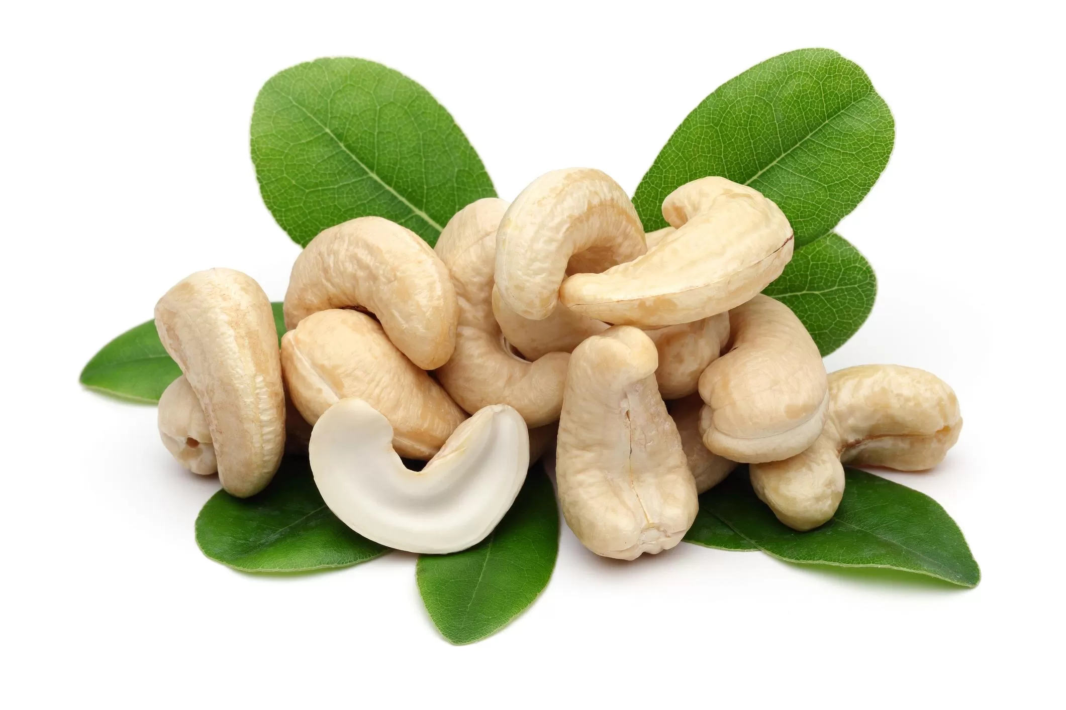 Premium Vietnamese cashew nuts rich in nutrients