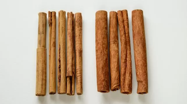 Vietnamese cassia and Indonesian cassia comparison showing export quality