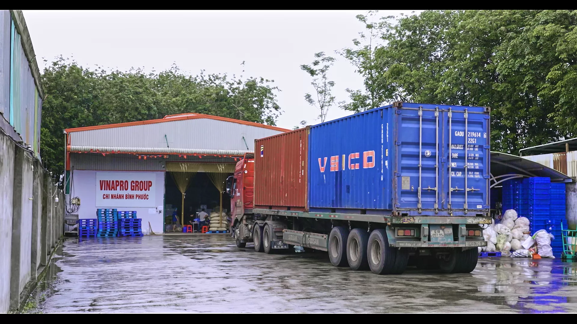  ginger powder export container loading Vietnam