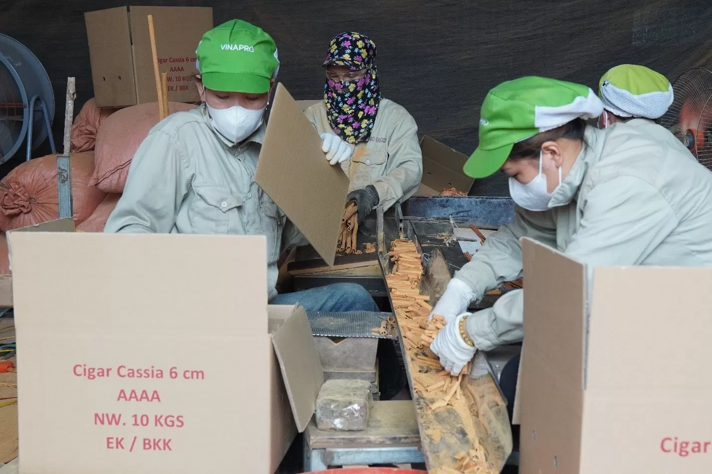 Vinapro cinnamon powder supplier export packaging