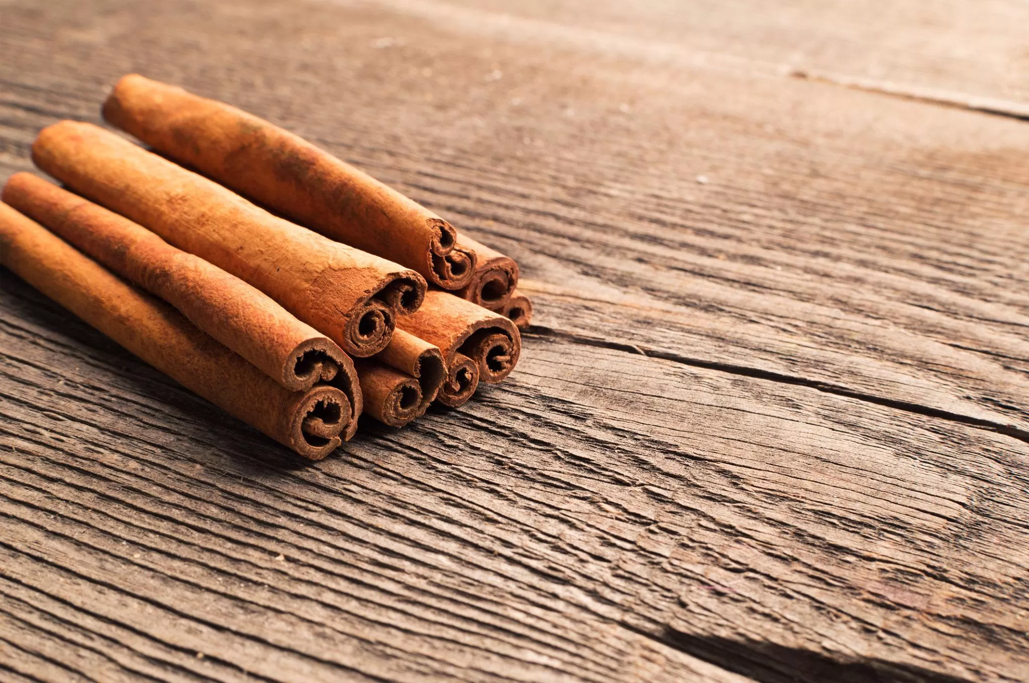 Premium Cinnamon Stick supplier from Vietnam