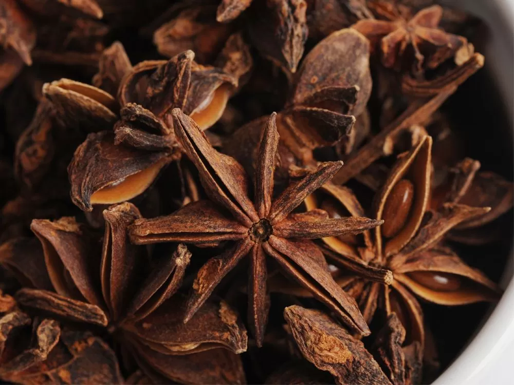 Spring star aniseed whole pods