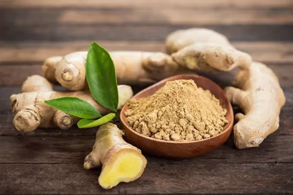 Powder ginger and fresh ginger from Vietnam
