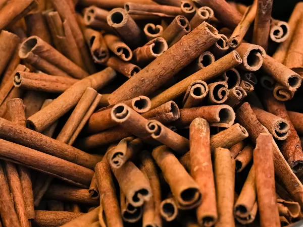 Cigarette cinnamon sticks from Vietnam for export