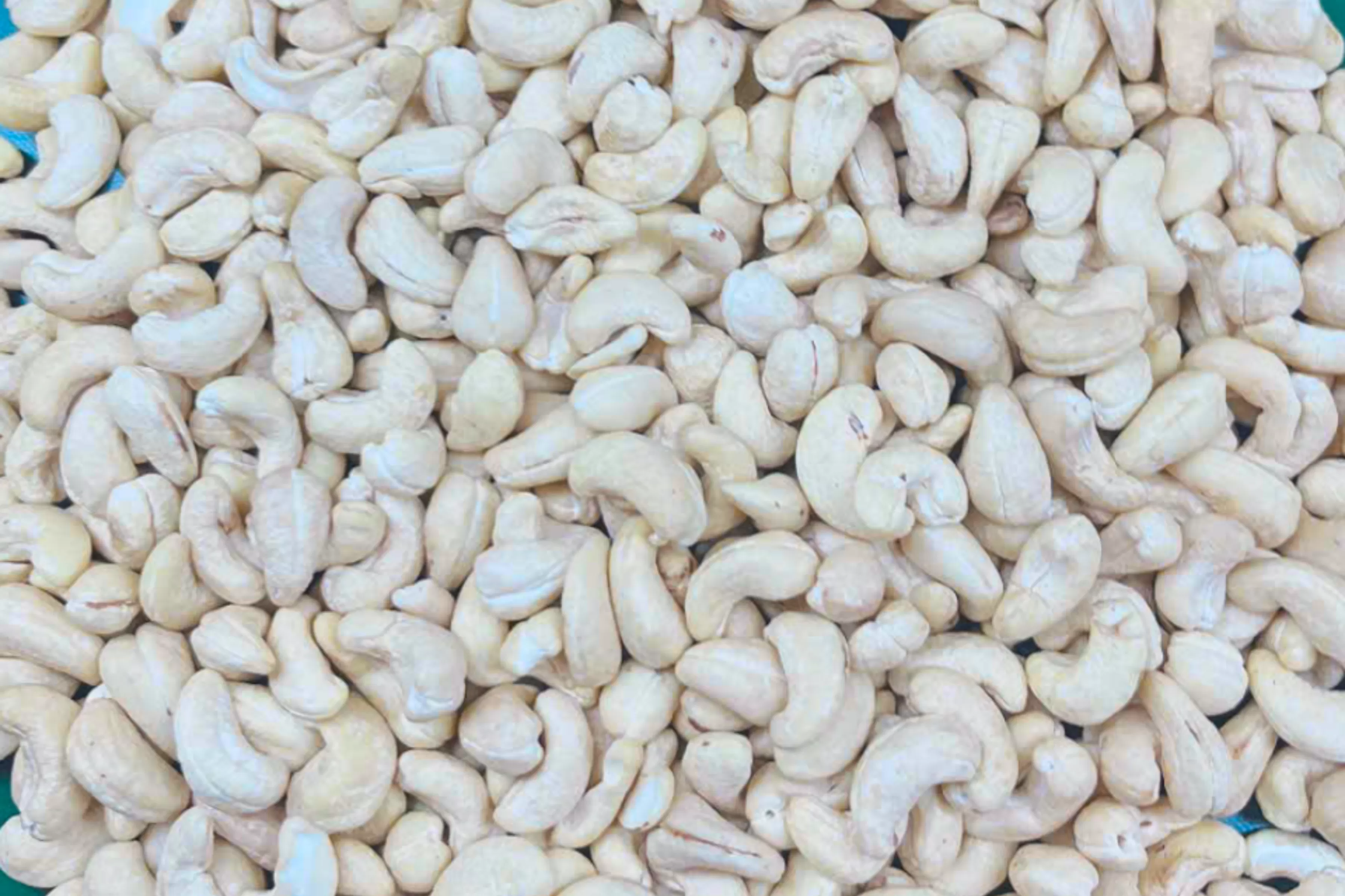 Premium Vietnamese Cashew Nuts trusted by global buyers