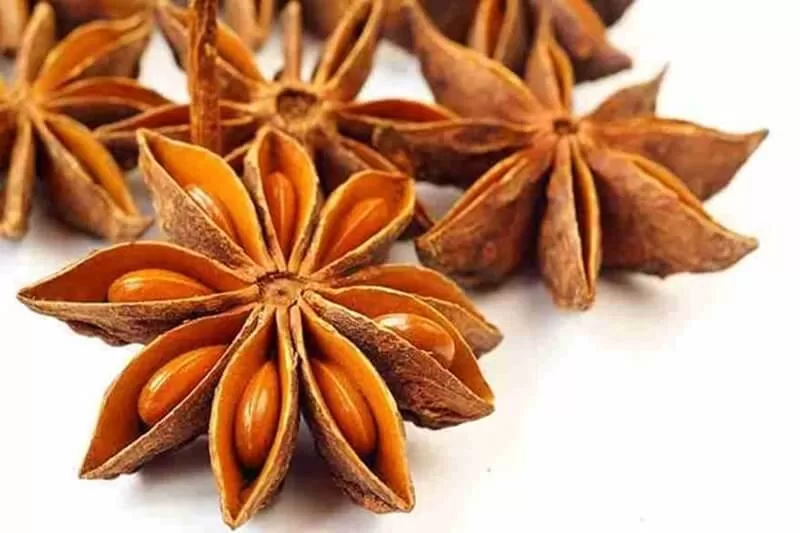 High-quality Vietnam star anise for export