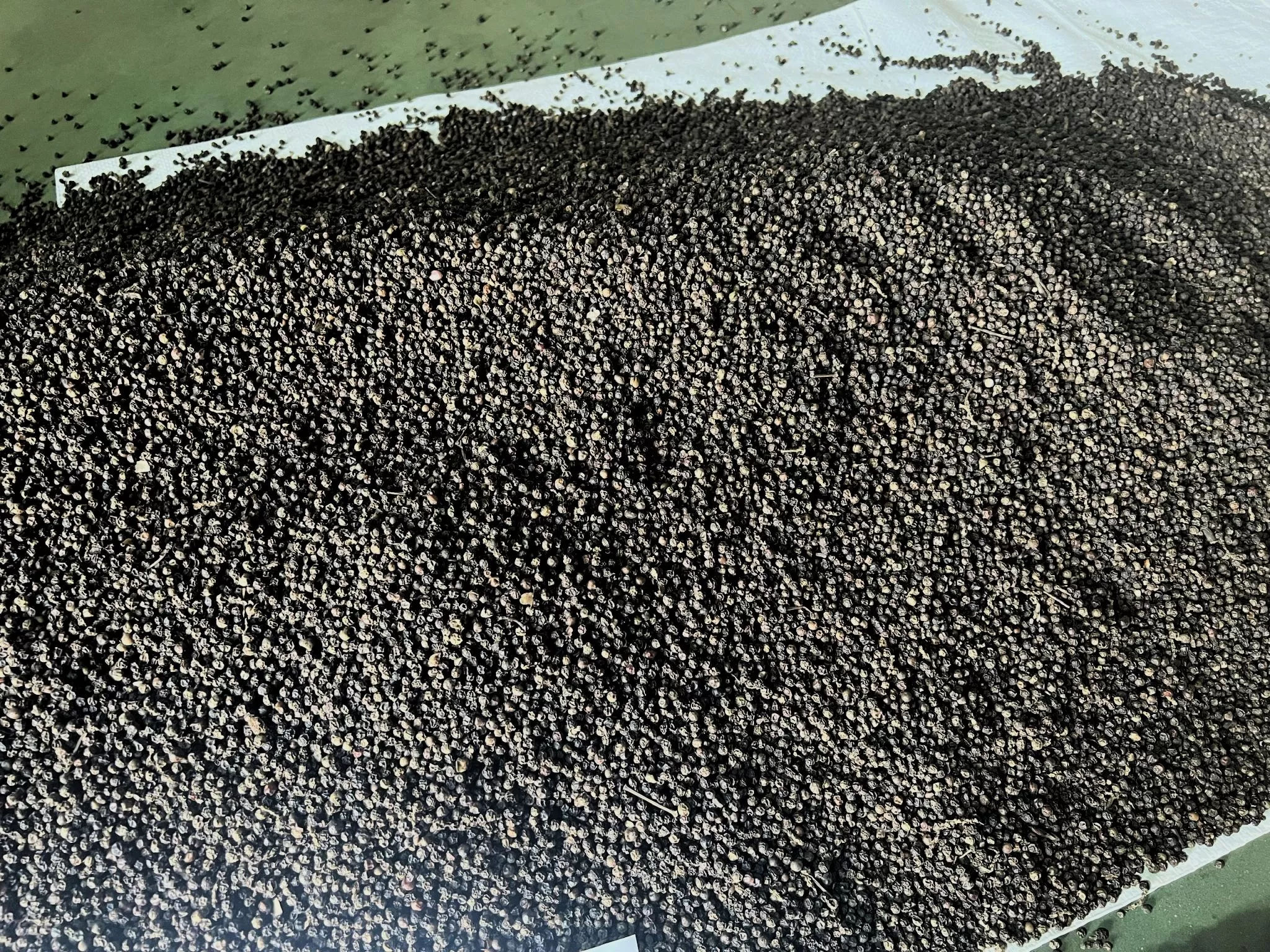 Vietnam Black Pepper FAQ for Export