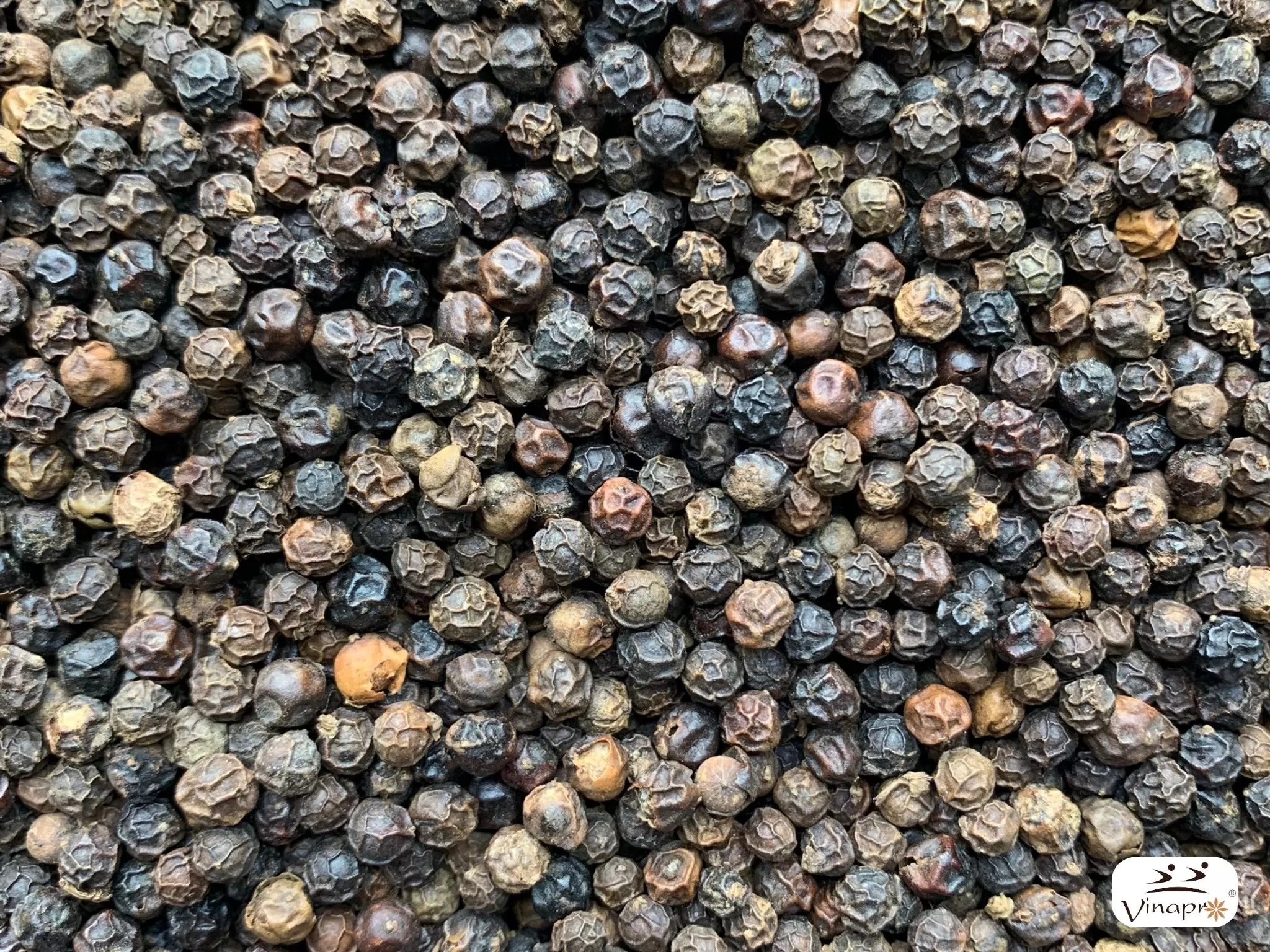 Black Pepper FAQ export standard