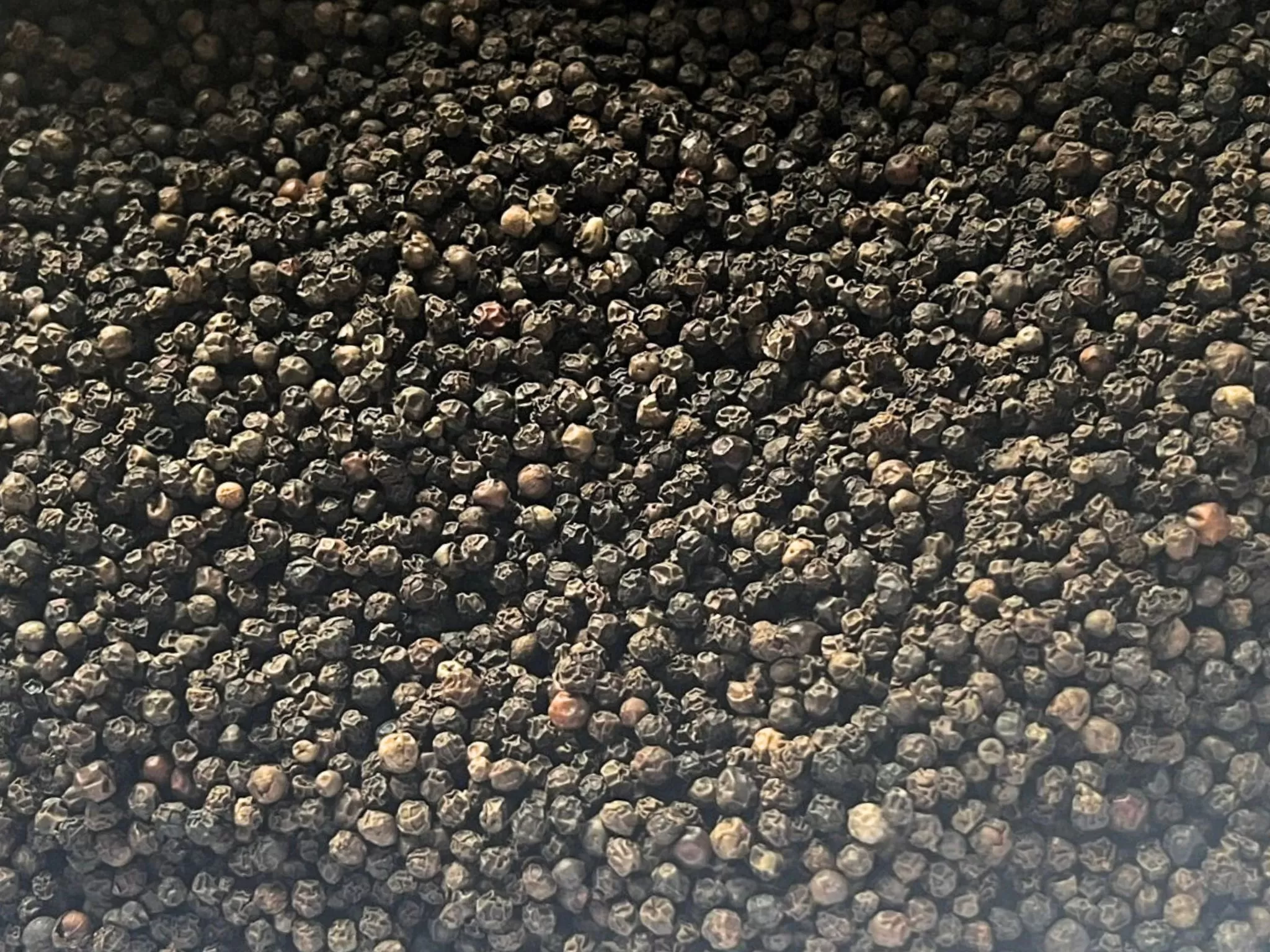 Black Pepper Density and Quality