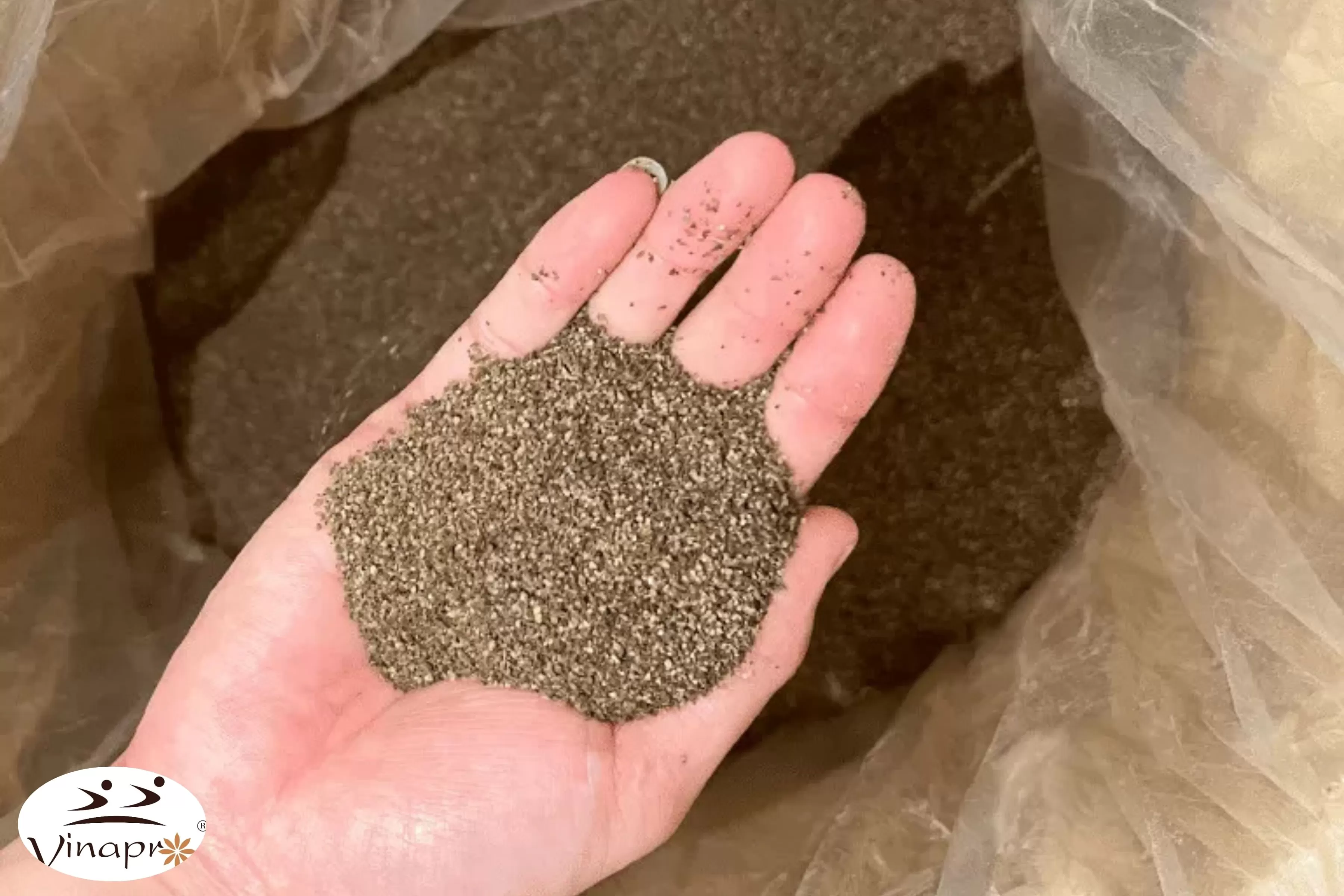 Vinapro Black Pepper Ground from Vietnam