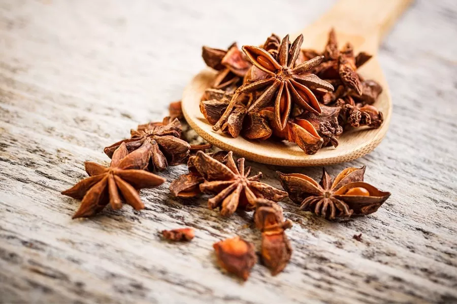 Spring star aniseed used in food and spice applications