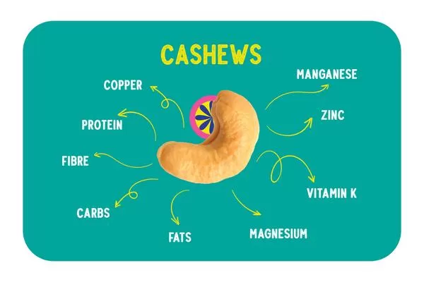 Nutritional value of premium Vietnamese cashew nuts