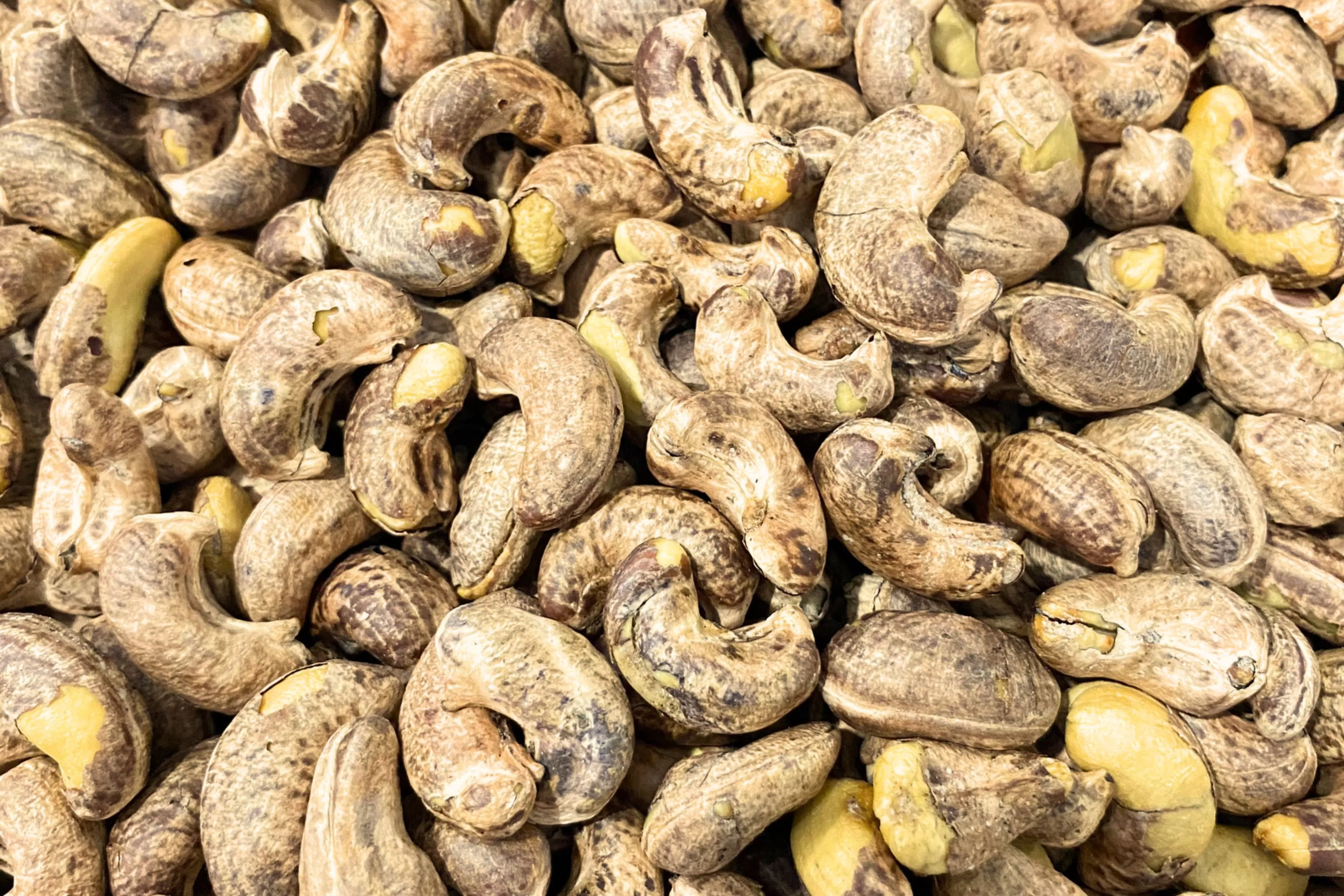 ROASTED CASHEW NUTS WITH SKIN