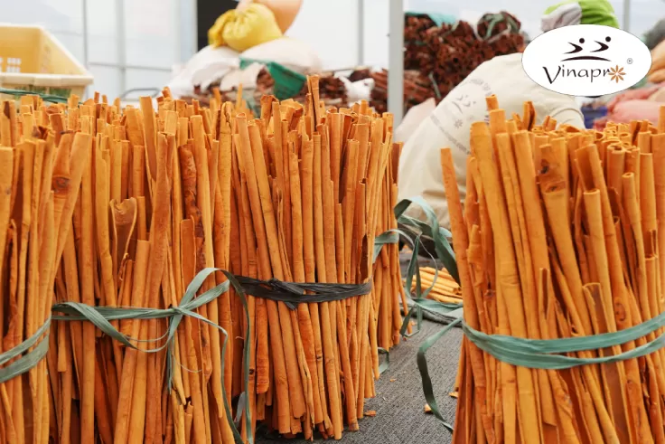 Stick cassia