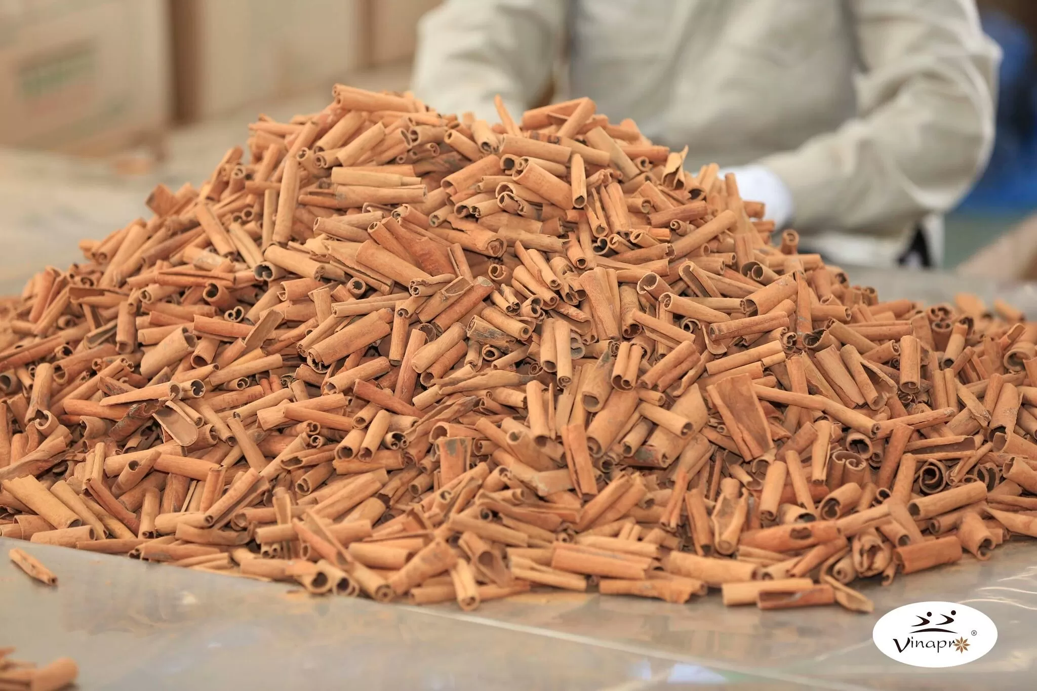 Cigarette cassia