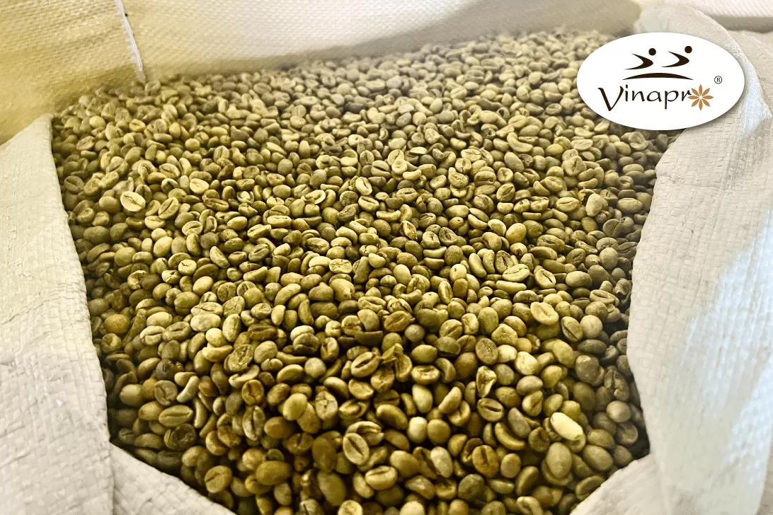 Wet Polished Robusta S18