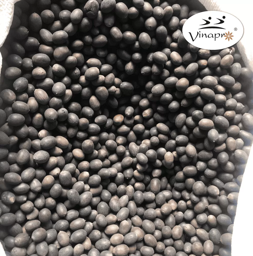 BLACK LOTUS SEED
