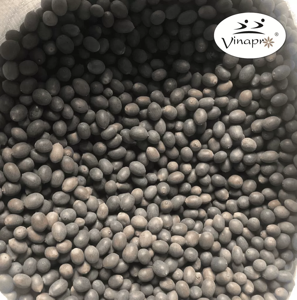 BLACK LOTUS SEED