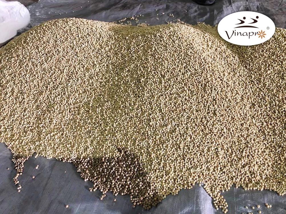 White Pepper
