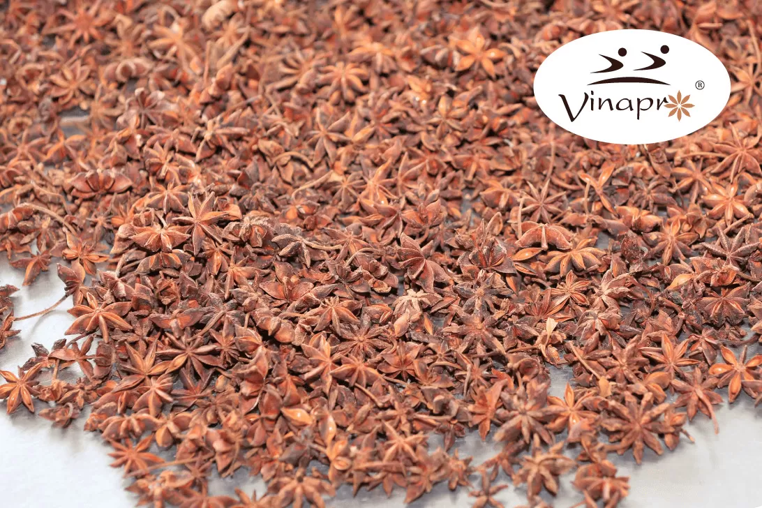 Autumn Star Aniseed
