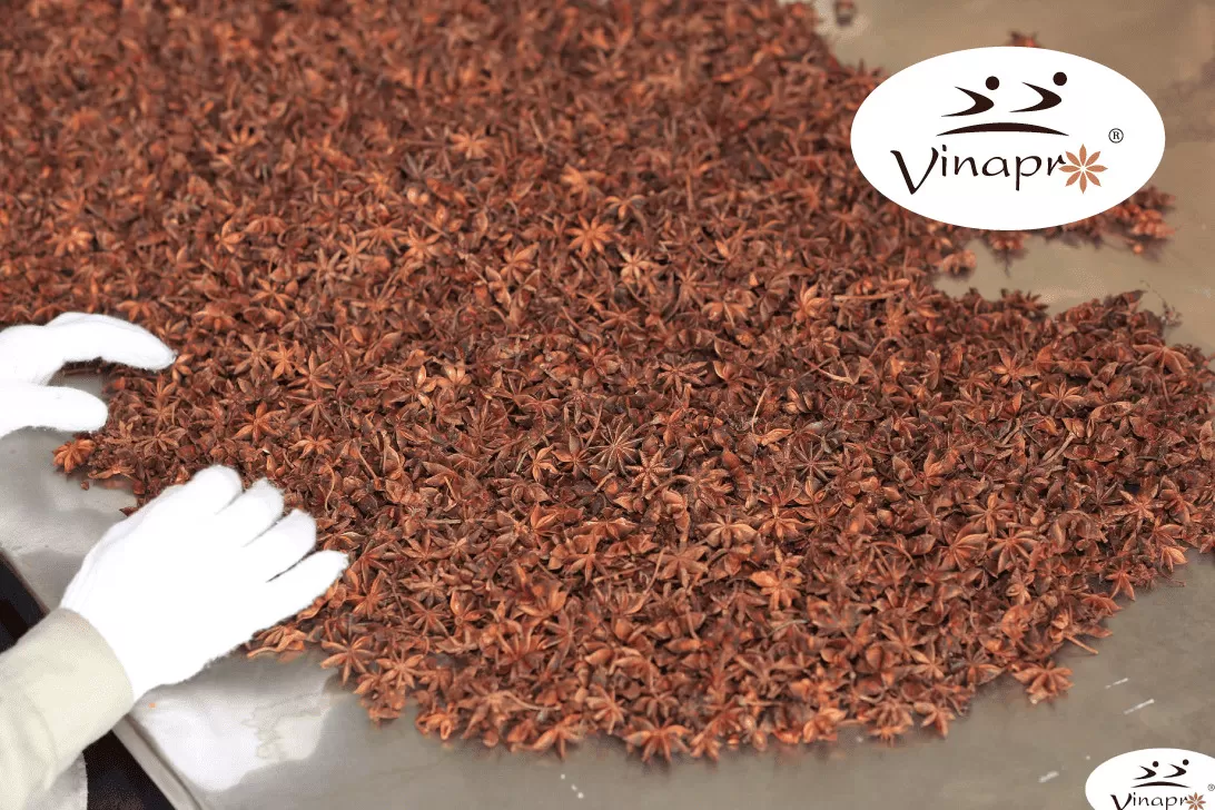 Autumn Star Aniseed